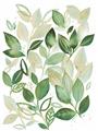 Picture of Watercolor Greens I _GroupedProduct_Rectangle_Portrait_Unframed_Print_Only_