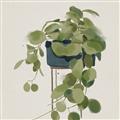 Picture of Plant in Black Pot I _GroupedProduct_Square_Unframed_Print_Only_
