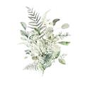 Picture of Botanical Burst I _GroupedProduct_Square_Unframed_Print_Only_