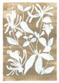 Picture of White Wash Florals I _GroupedProduct_Rectangle_Portrait_Unframed_Print_Only_