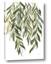 Picture of Lovely Leaves I