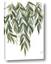 Picture of Lovely Leaves II