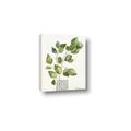 Picture of Golden Greens I _GroupedProduct_Rectangle_Portrait_Canvas_
