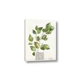 Picture of Golden Greens I _GroupedProduct_Rectangle_Portrait_Canvas_