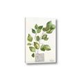 Picture of Golden Greens I _GroupedProduct_Rectangle_Portrait_Canvas_