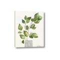 Picture of Golden Greens I _GroupedProduct_Rectangle_Portrait_Canvas_