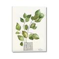 Picture of Golden Greens I _GroupedProduct_Rectangle_Portrait_Canvas_