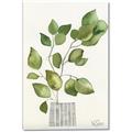 Picture of Golden Greens I _GroupedProduct_Rectangle_Portrait_Canvas_