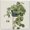 Picture of Plant in Black Pot I _GroupedProduct_Square_Canvas_