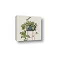 Picture of Plant in Black Pot II _GroupedProduct_Square_Canvas_