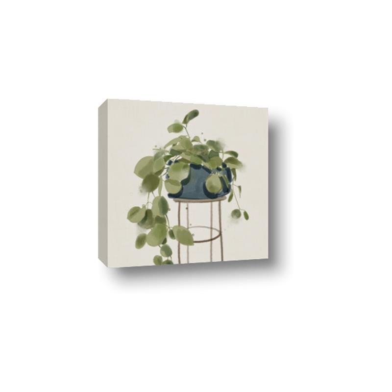 Picture of Plant in Black Pot II _GroupedProduct_Square_Canvas_
