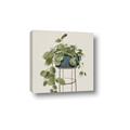 Picture of Plant in Black Pot II _GroupedProduct_Square_Canvas_