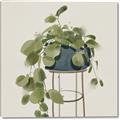 Picture of Plant in Black Pot II _GroupedProduct_Square_Canvas_