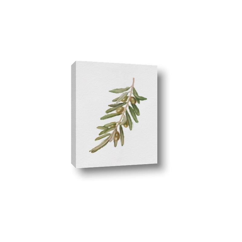 Picture of Olive Branch _GroupedProduct_Rectangle_Portrait_Canvas_