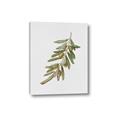 Picture of Olive Branch _GroupedProduct_Rectangle_Portrait_Canvas_
