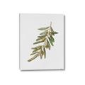 Picture of Olive Branch _GroupedProduct_Rectangle_Portrait_Canvas_