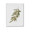 Picture of Olive Branch _GroupedProduct_Rectangle_Portrait_Canvas_