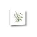 Picture of Botanical Burst I _GroupedProduct_Square_Canvas_