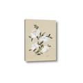 Picture of White Whisps II _GroupedProduct_Rectangle_Portrait_Canvas_