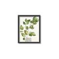 Picture of Golden Greens I _GroupedProduct_Rectangle_Portrait_Canvas_Framed_