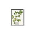 Picture of Golden Greens I _GroupedProduct_Rectangle_Portrait_Canvas_Framed_
