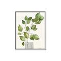 Picture of Golden Greens I _GroupedProduct_Rectangle_Portrait_Canvas_Framed_