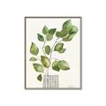 Picture of Golden Greens I _GroupedProduct_Rectangle_Portrait_Canvas_Framed_