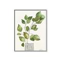 Picture of Golden Greens I _GroupedProduct_Rectangle_Portrait_Canvas_Framed_