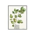 Picture of Golden Greens I _GroupedProduct_Rectangle_Portrait_Canvas_Framed_