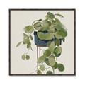 Picture of Plant in Black Pot I _GroupedProduct_Square_Canvas_Framed_