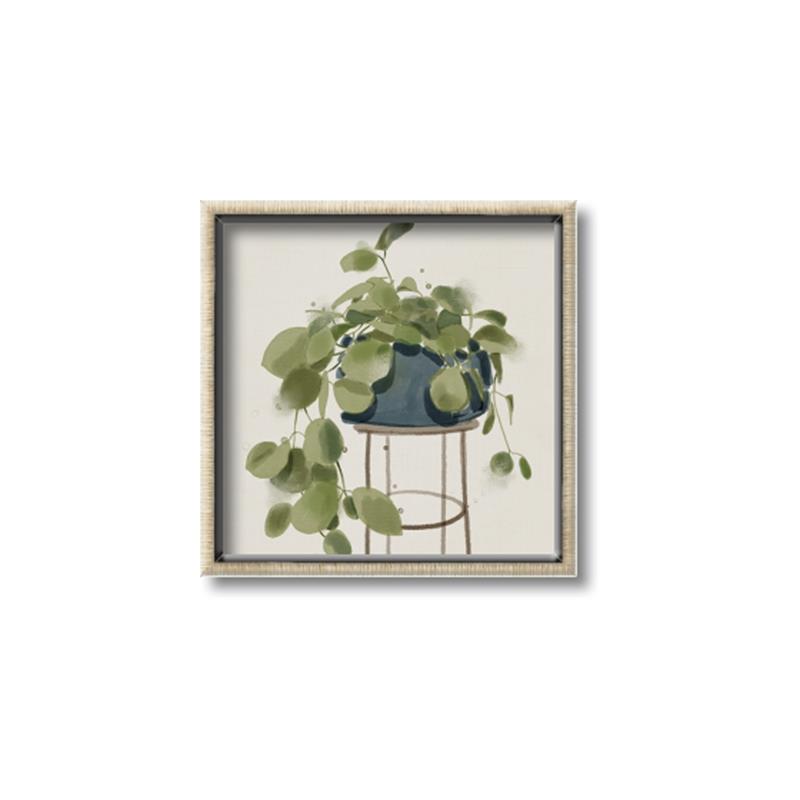 Picture of Plant in Black Pot II _GroupedProduct_Square_Canvas_Framed_