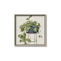 Picture of Plant in Black Pot II _GroupedProduct_Square_Canvas_Framed_