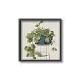 Picture of Plant in Black Pot II _GroupedProduct_Square_Canvas_Framed_