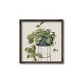 Picture of Plant in Black Pot II _GroupedProduct_Square_Canvas_Framed_