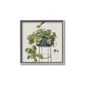 Picture of Plant in Black Pot II _GroupedProduct_Square_Canvas_Framed_