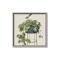 Picture of Plant in Black Pot II _GroupedProduct_Square_Canvas_Framed_