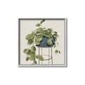 Picture of Plant in Black Pot II _GroupedProduct_Square_Canvas_Framed_