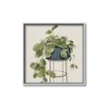 Picture of Plant in Black Pot II _GroupedProduct_Square_Canvas_Framed_