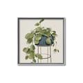 Picture of Plant in Black Pot II _GroupedProduct_Square_Canvas_Framed_