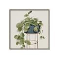 Picture of Plant in Black Pot II _GroupedProduct_Square_Canvas_Framed_