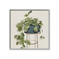 Picture of Plant in Black Pot II _GroupedProduct_Square_Canvas_Framed_