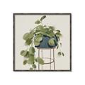 Picture of Plant in Black Pot II _GroupedProduct_Square_Canvas_Framed_