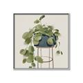 Picture of Plant in Black Pot II _GroupedProduct_Square_Canvas_Framed_