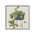 Picture of Plant in Black Pot II _GroupedProduct_Square_Canvas_Framed_