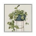 Picture of Plant in Black Pot II _GroupedProduct_Square_Canvas_Framed_