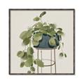 Picture of Plant in Black Pot II _GroupedProduct_Square_Canvas_Framed_