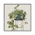 Picture of Plant in Black Pot II _GroupedProduct_Square_Canvas_Framed_