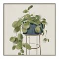 Picture of Plant in Black Pot II _GroupedProduct_Square_Canvas_Framed_