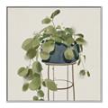 Picture of Plant in Black Pot II _GroupedProduct_Square_Canvas_Framed_