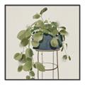 Picture of Plant in Black Pot II _GroupedProduct_Square_Canvas_Framed_